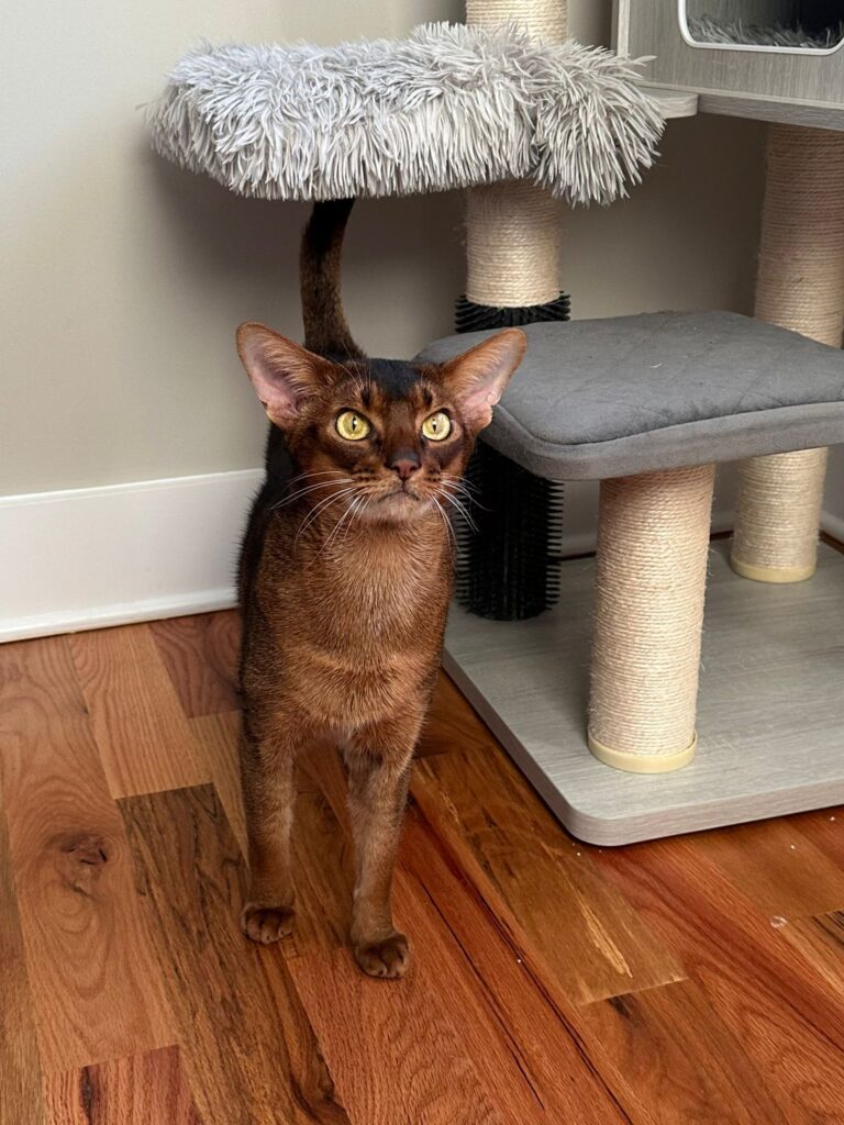 WhatsApp Image 2025-11-27 at 08.00.36 (1)