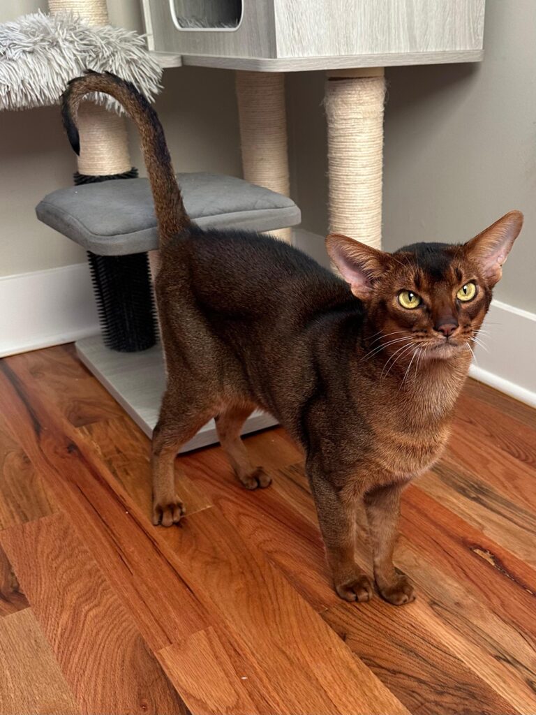 WhatsApp Image 2025-11-27 at 08.00.36 (2)