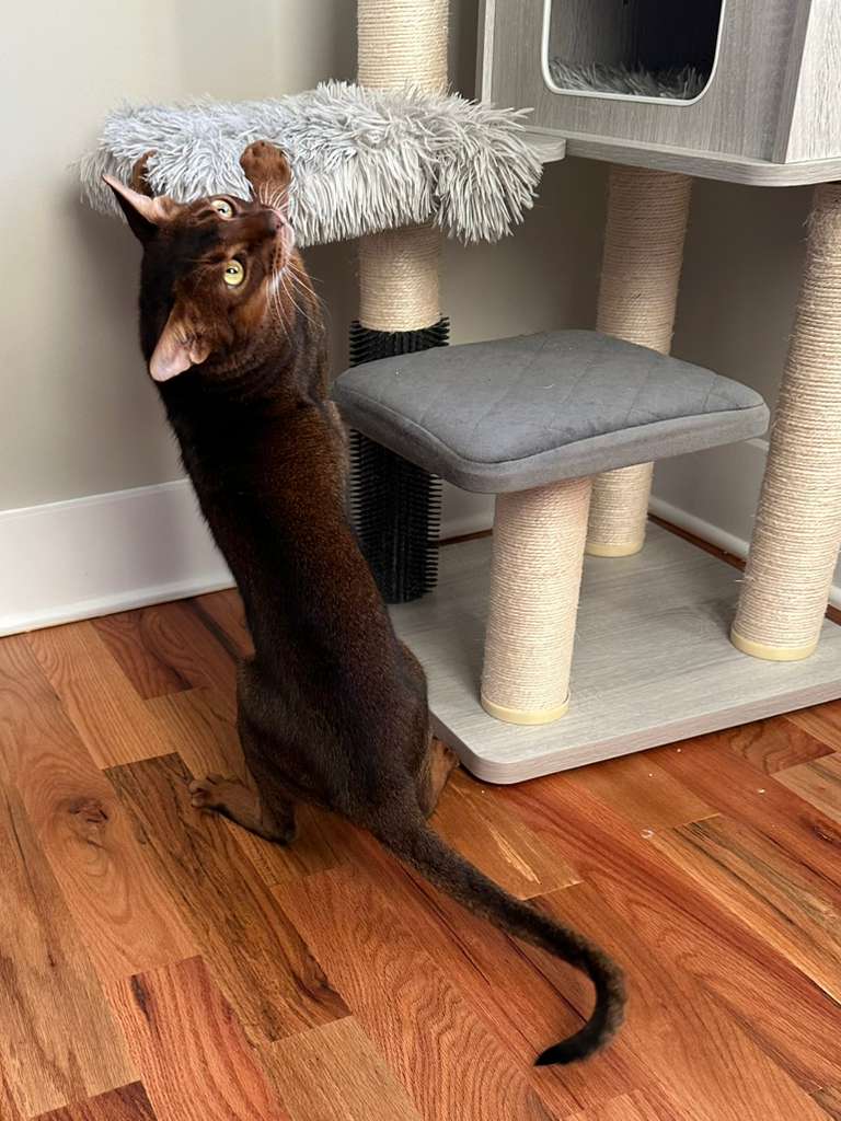 WhatsApp Image 2025-11-27 at 08.00.36 (3)