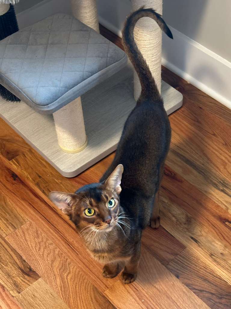 WhatsApp Image 2025-11-27 at 08.00.36 (5)