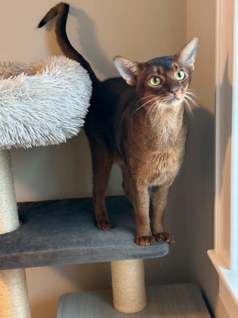 WhatsApp Image 2025-11-27 at 08.00.36