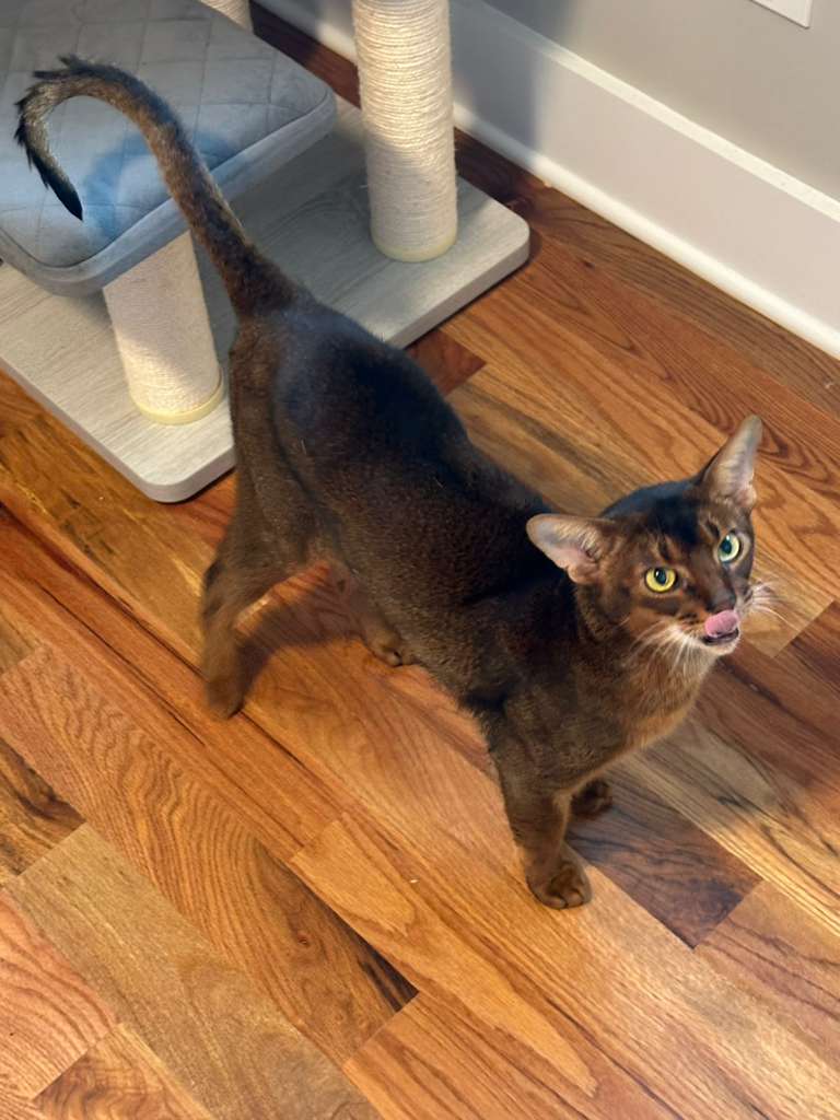 WhatsApp Image 2025-11-27 at 08.00.37 (1)