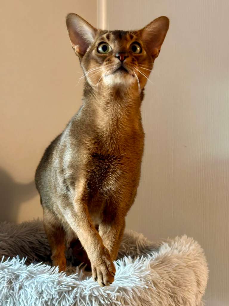 WhatsApp Image 2025-11-27 at 08.00.37 (2)