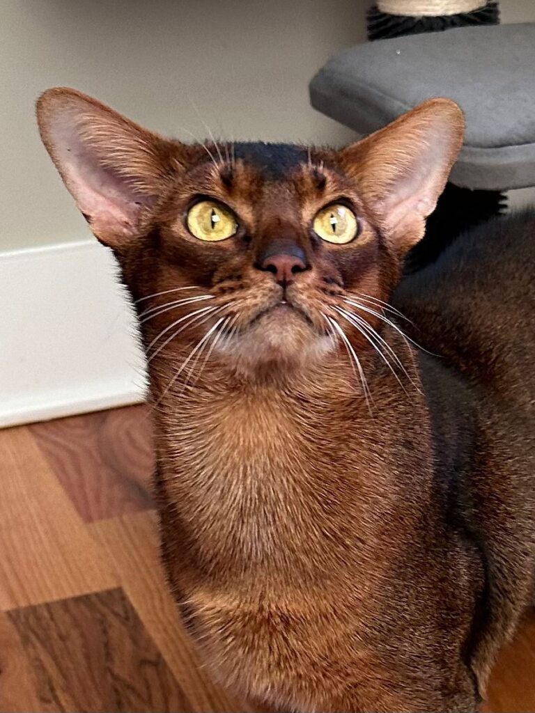 WhatsApp Image 2025-11-27 at 08.00.37