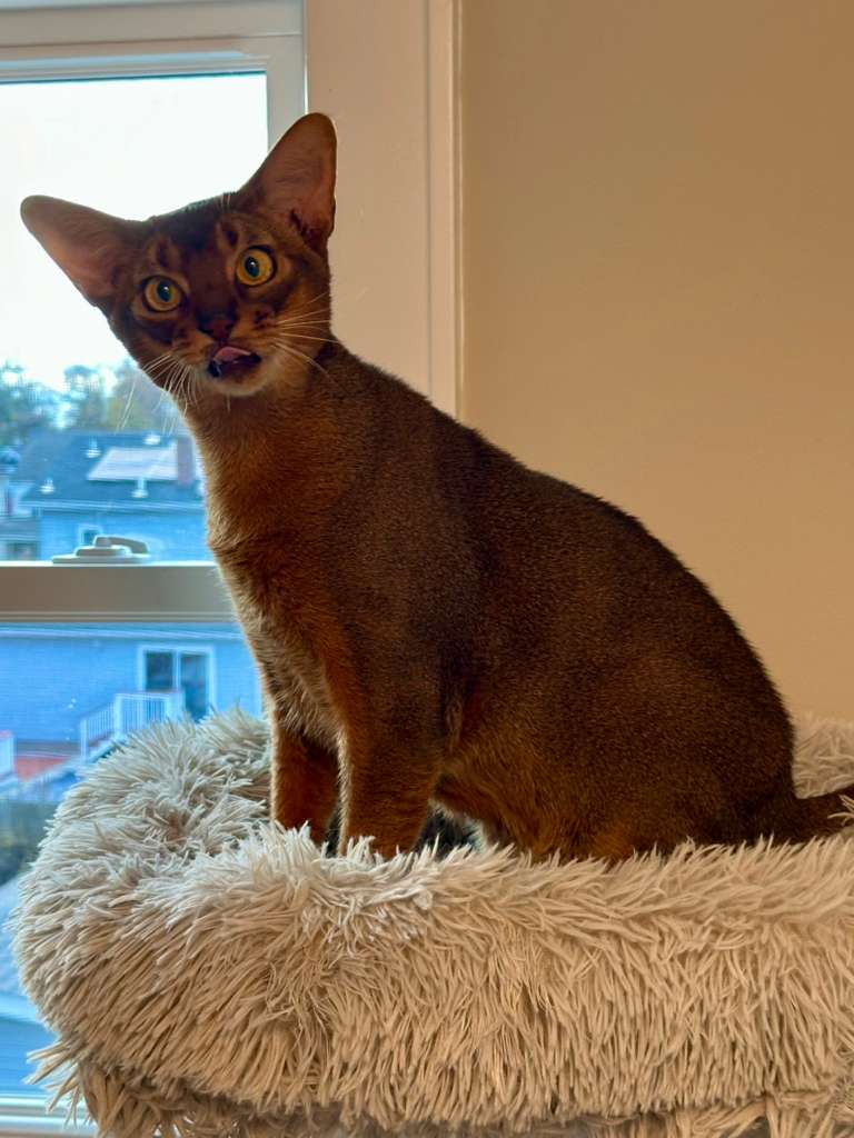 WhatsApp Image 2025-11-27 at 08.00.38 (1)