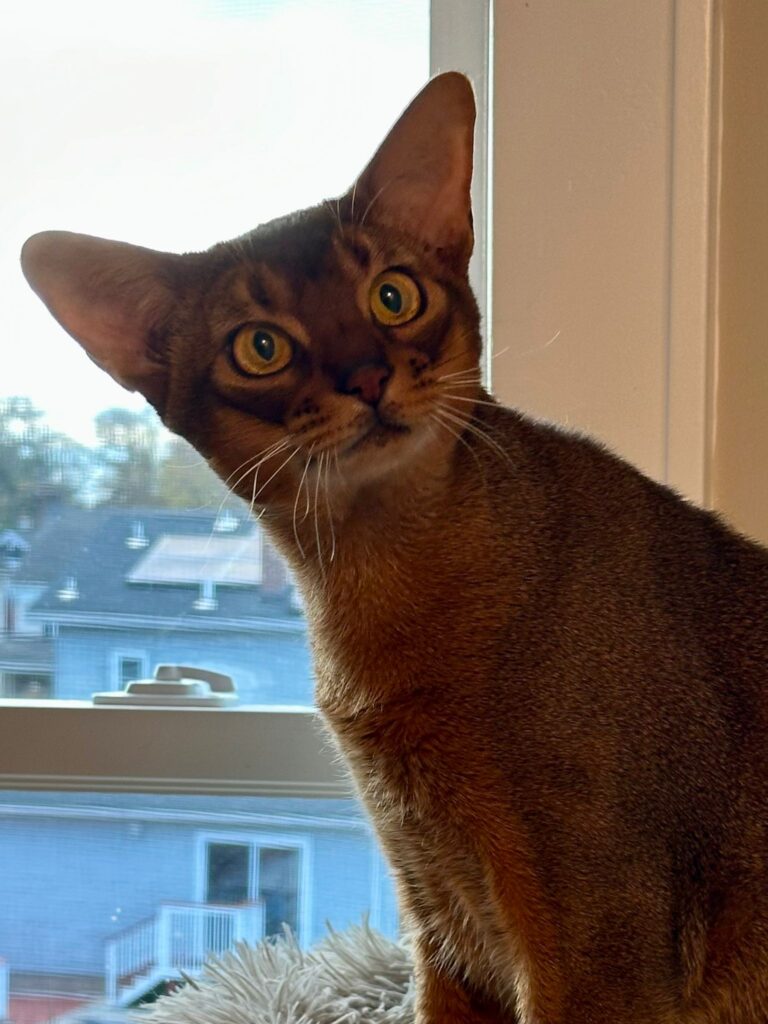 WhatsApp Image 2025-11-27 at 08.00.38 (2)