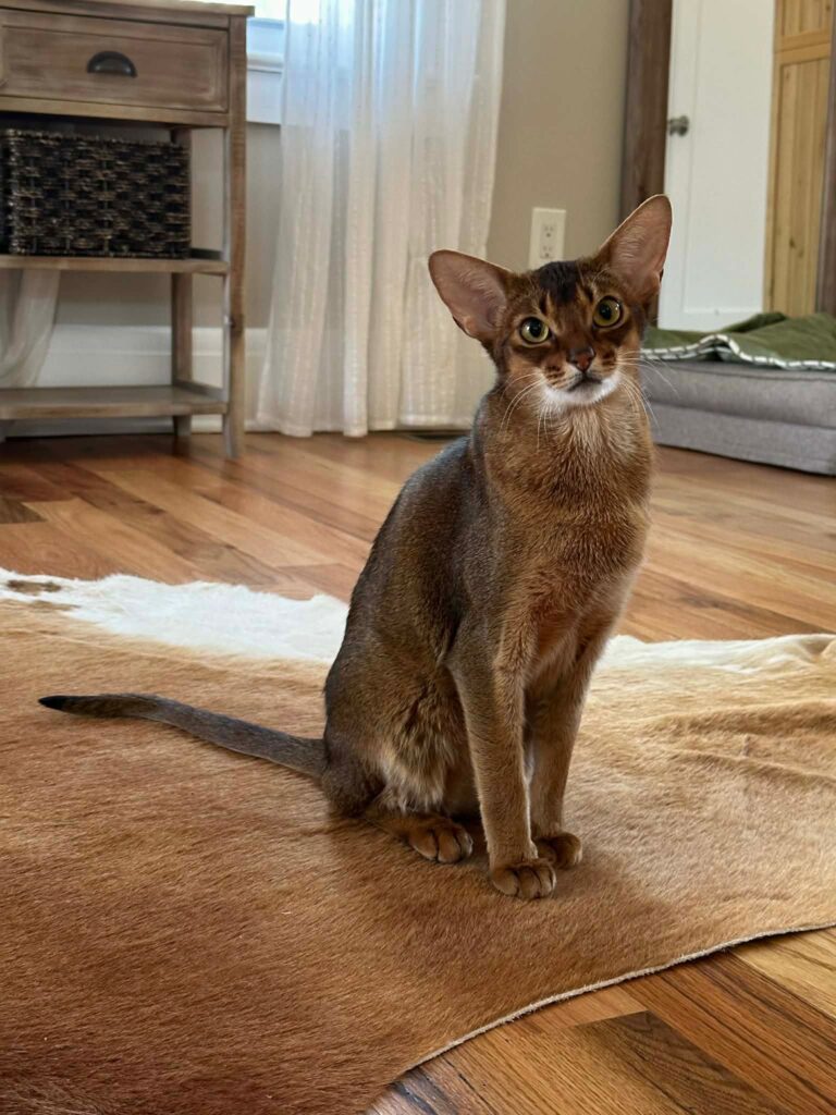 WhatsApp Image 2026-04-02 at 09.19.40 (5)